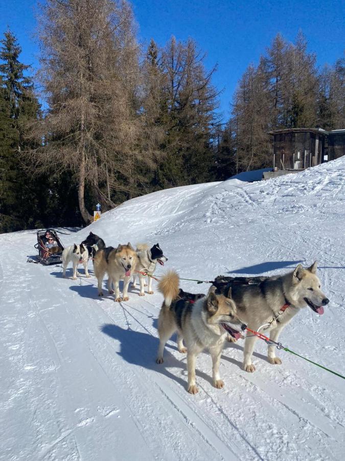 Ferienwohnung PLAGNE BELLECOTE - 5 Pers - Vue Pistes - Acces Piscine chauffee La Plagne Exterior foto
